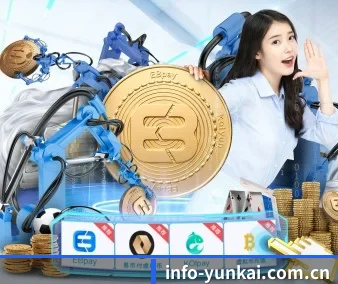 云开体育 APP 界面